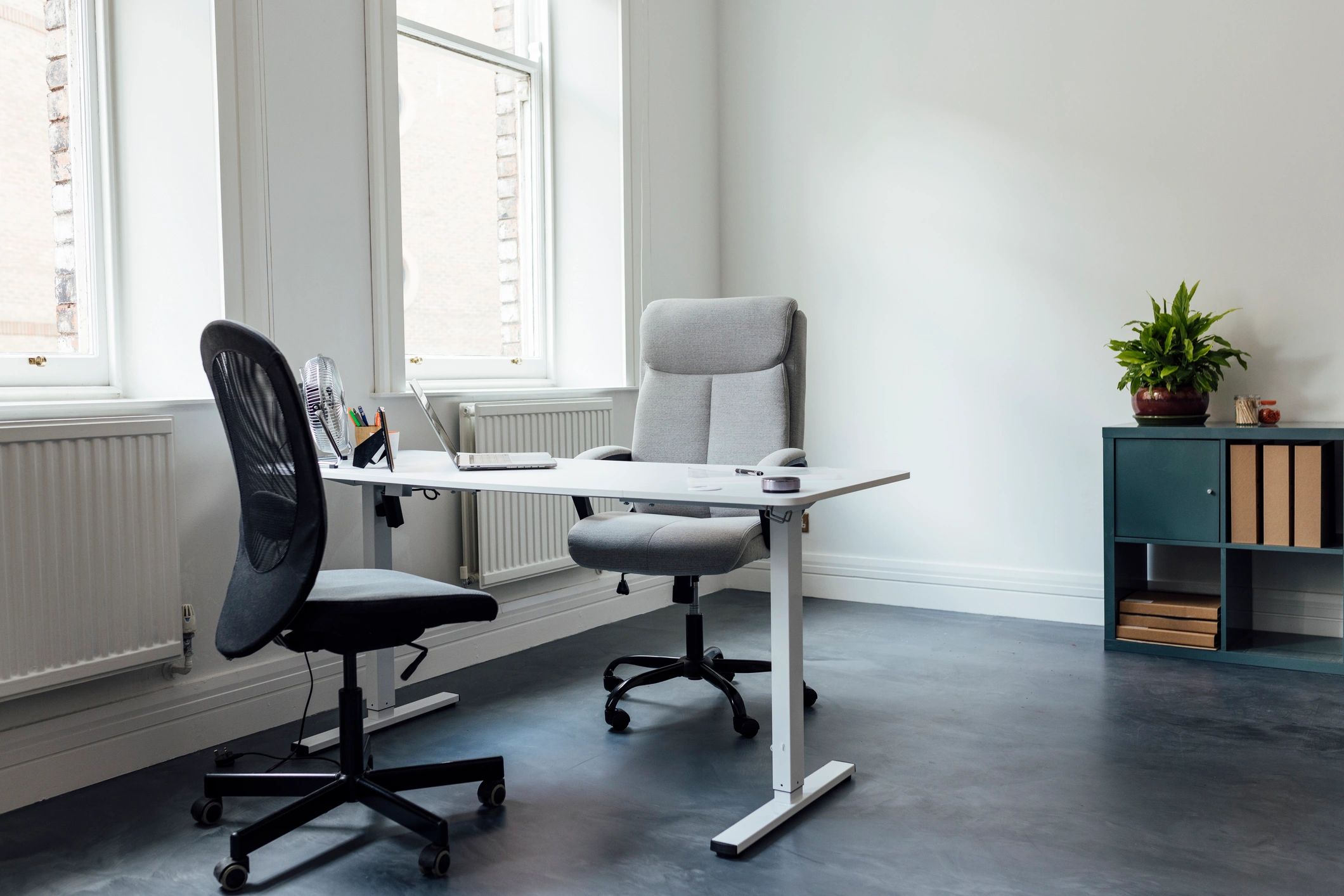 Professional consultation office with a calm atmosphere